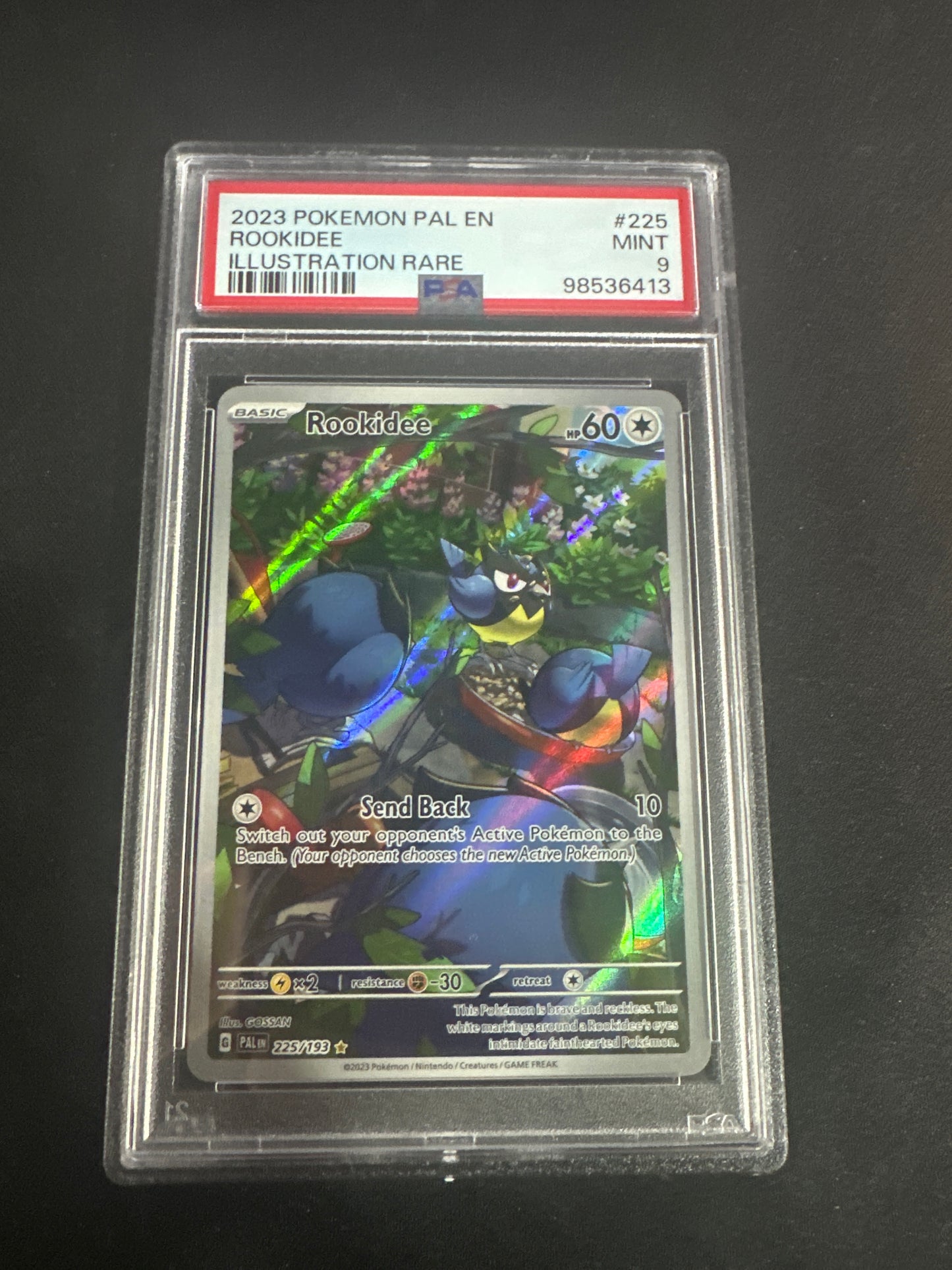 2023 Pokémon PAL EN Rookidee - Illustration Rare PSA 9 #225