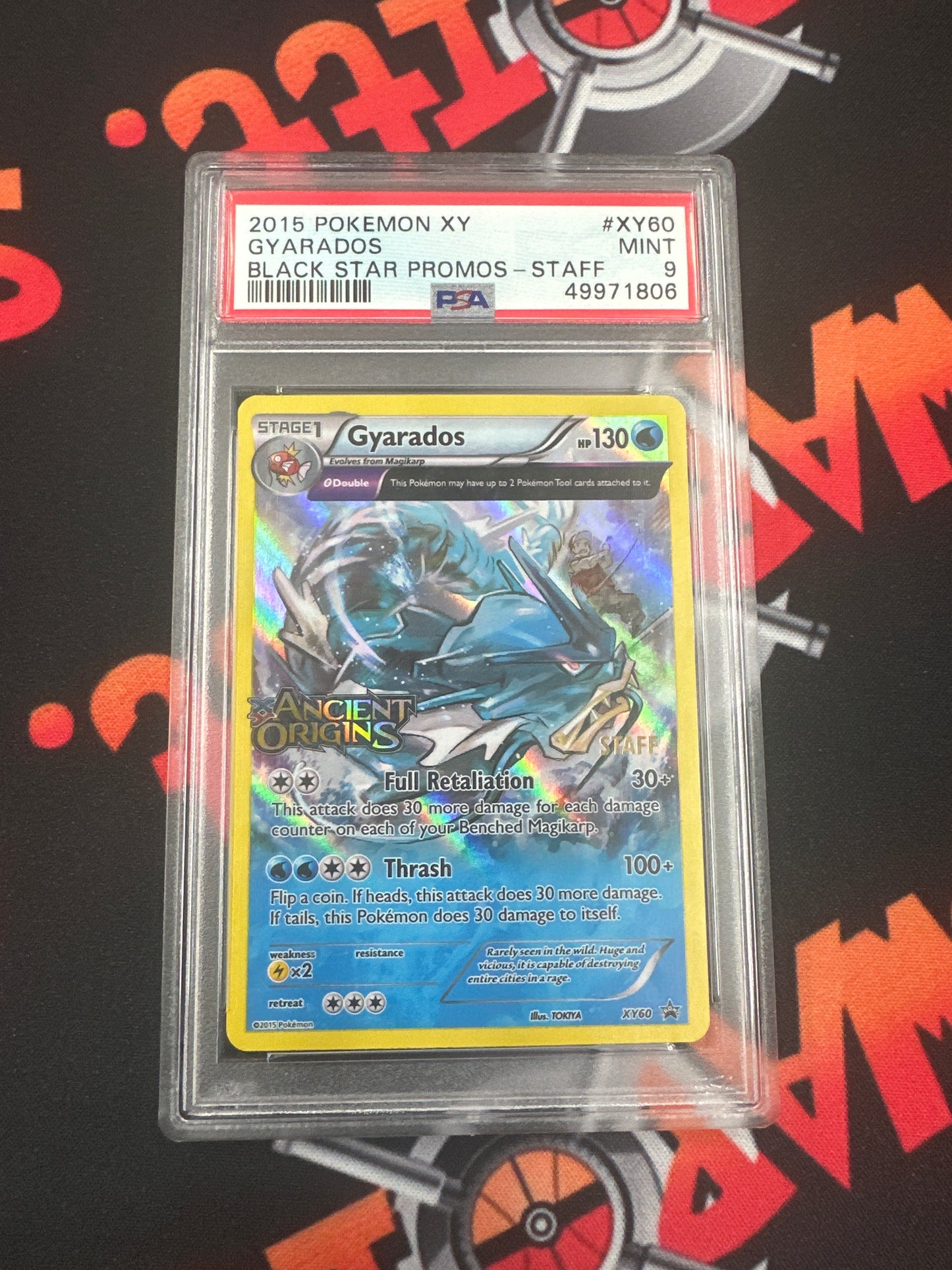 2015 Gyarados Holo - Black Star Promos STAFF PSA 9 #XY60