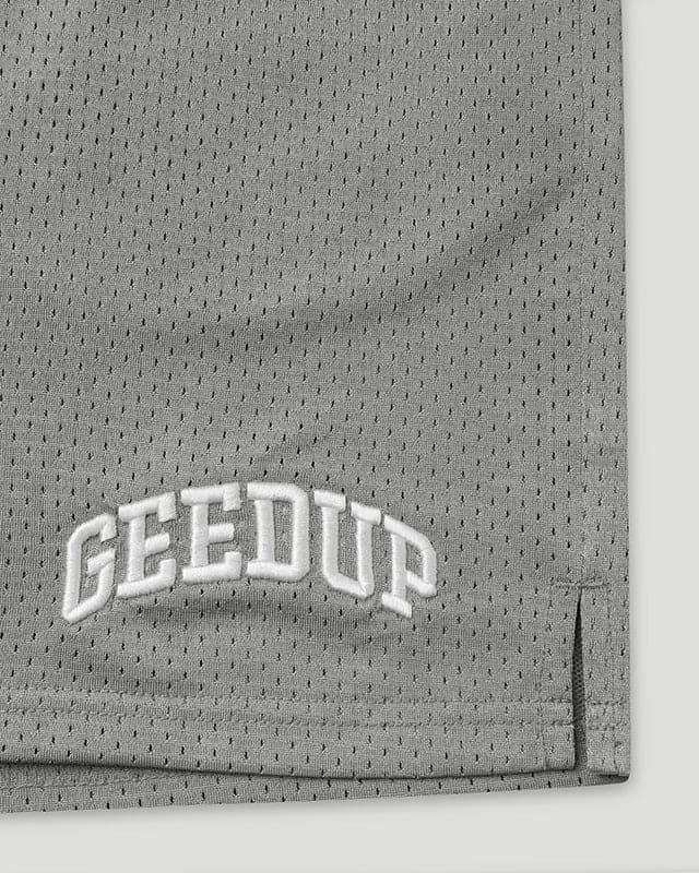 TEAM LOGO Mesh Shorts Grey